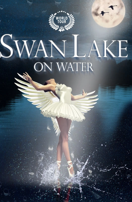 AFFICHE Swan Lake on the Water -Johan Nus
